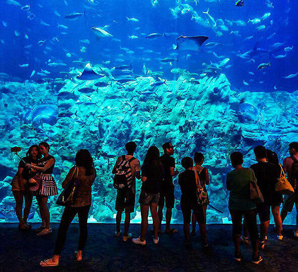 Das Große Aquarium