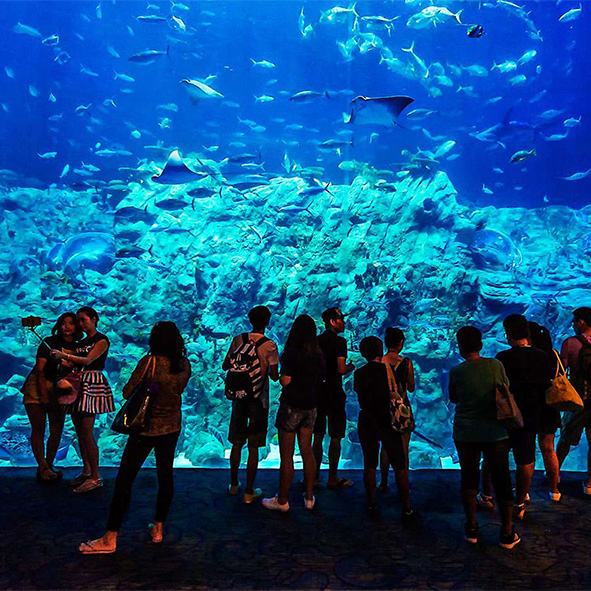Das Große Aquarium