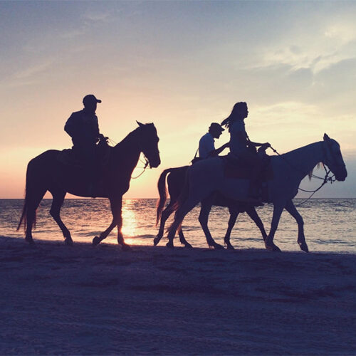 Reiten 2 Stunden