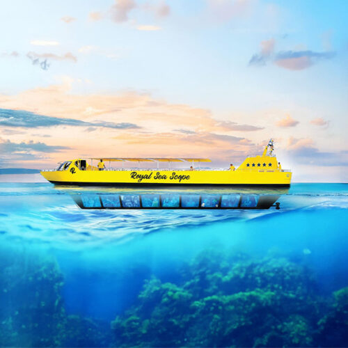 Glasbodenboot _ Sea Scope