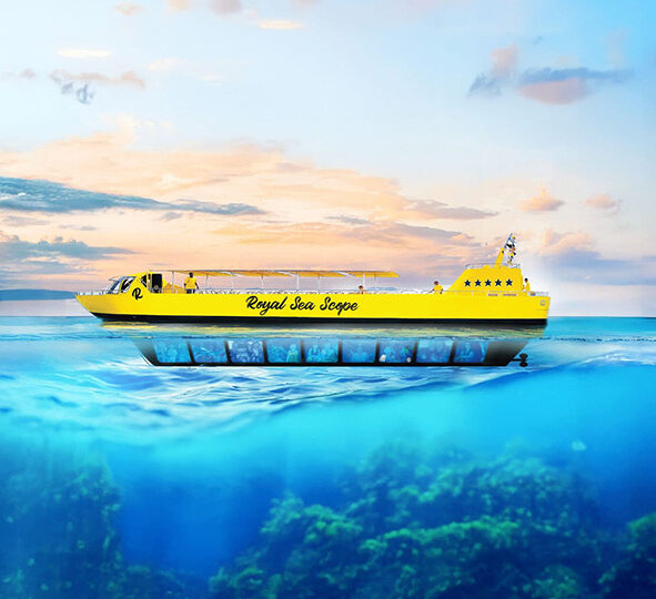 Glasbodenboot _ Sea Scope