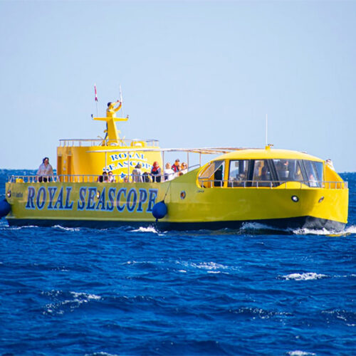 Glasbodenboot _ Meeresspiegel