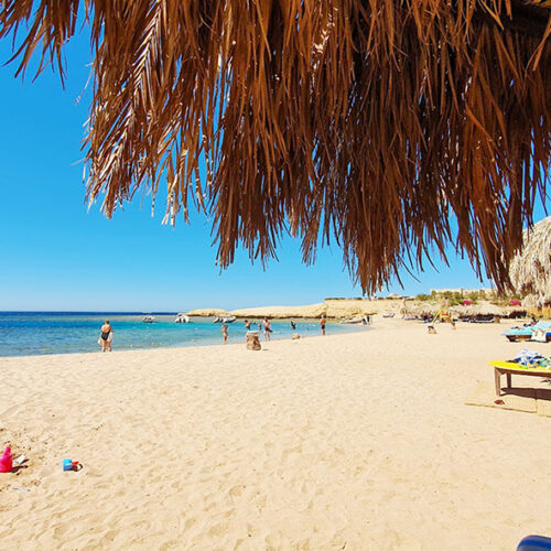Sharm El Naga – Der Karottengarten